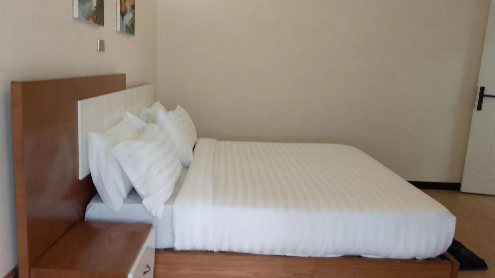 Hidsol Apartment Adís Abeba