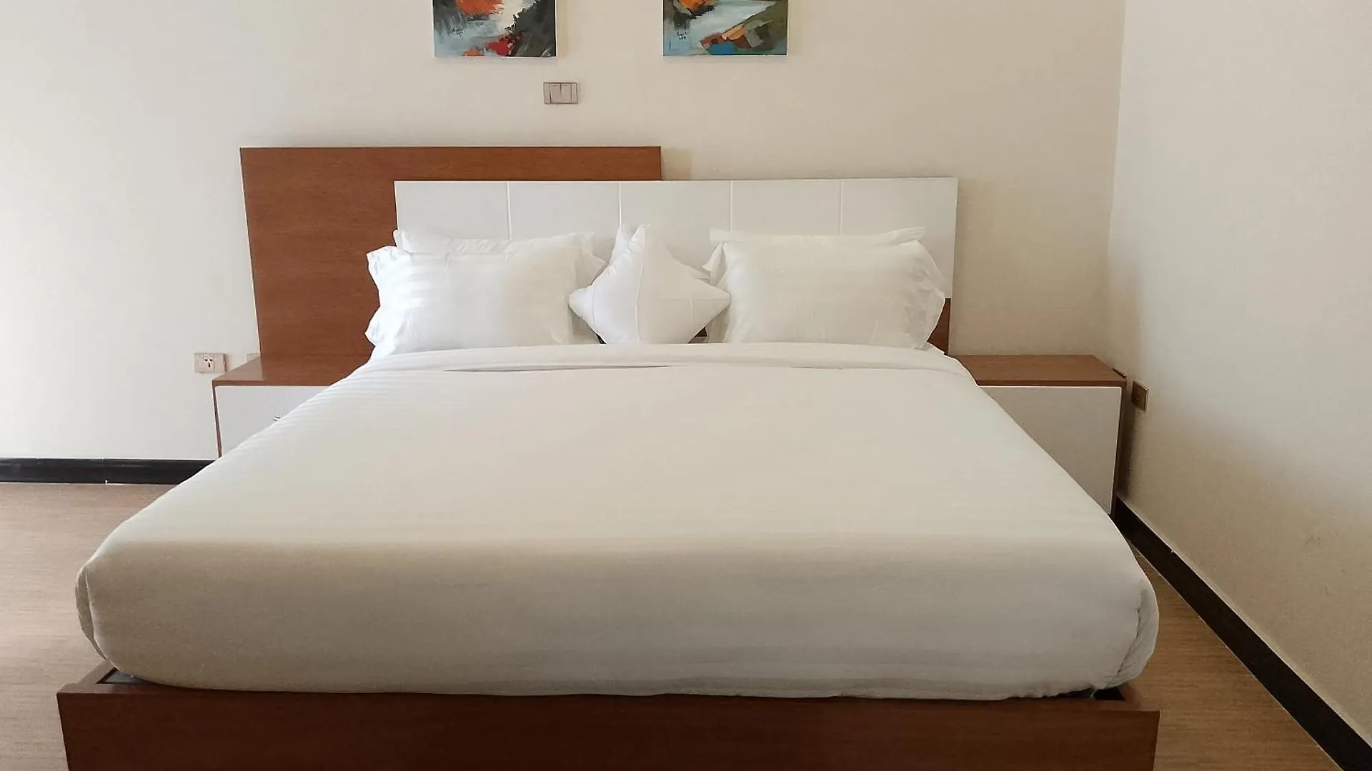 Hidsol Apartment Adís Abeba Pensión